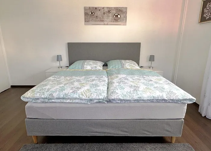 Mona Apartment Emmendingen